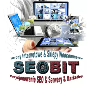 Strony Internetowe-www z SEOBIT.PL